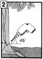 pointer2.jpg